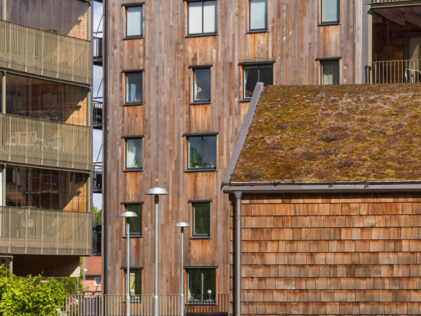 En bredare vy över innergården där träklädda hus, planteringar och gångstråk samspelar i en harmonisk helhet, resultatet av GBJ Byggs arbete med socialt inbjudande och hållbart gestaltade bostadsmiljöer.